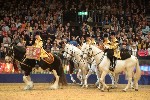 Cavalry - 00067